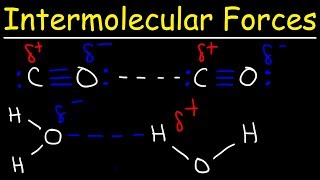 Intermolecular Forces  Hydrogen Bonding Dipole Dipole Interactions  Boiling Point amp Solubility [upl. by Thesda]