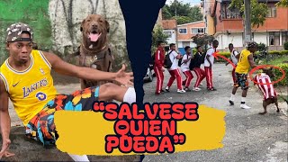 AHORA SÁLVESE QUIEN PUEDA 🏃‍➡️🐕🤣 [upl. by Etaner955]