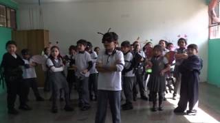 Canción los Invertebrados Colegio Haydn de La Florida [upl. by Eelesor]