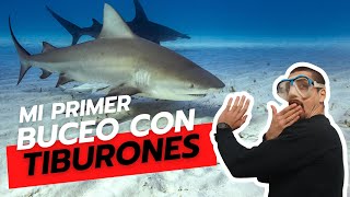 Mi primera vez buceando con tiburones [upl. by Dnomad]