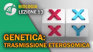 BIOLOGIA  Lezione 13  Genetica Trasmissione Eterosomica [upl. by Alexis559]