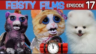 Feisty Films Episode 17 Dumb Ways to Die [upl. by Notyarb]