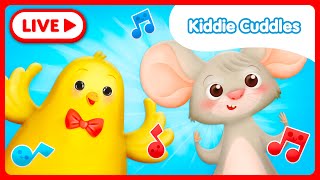 🔴 LIVE 🔴 KIDDIE CUDDLES  Best Nursery Rhymes amp Songs for Kids – Kiddie Cuddles [upl. by Valerio]