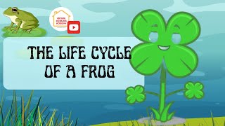 Fun learning videos for kids lifecycle [upl. by Traggat454]