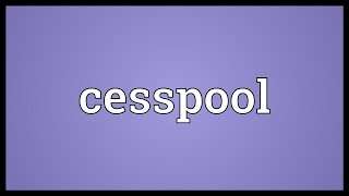 Cesspool Meaning [upl. by Stavros937]