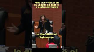 LillyTéllez demuestra su demencia en el Senado [upl. by Koss]