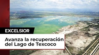 Lago de Texcoco vuelva a cobrar vida [upl. by Cirad605]