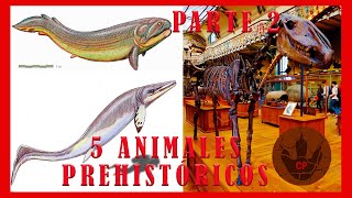 5 ANIMALES PREHISTÓRICOS QUE NO CONOCÍAS PARTE 2 [upl. by Corotto]