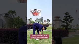 Qigong exercise relief your back pain homeworkout qigong spinehealth backpainrelief neckpain [upl. by Erica]