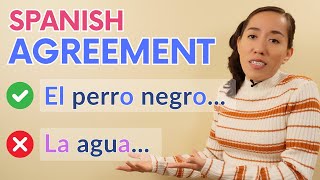 Spanish Agreement Learn this rule EASILY and the exceptions [upl. by Akihsar]