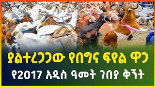 መረጋጋት ያልታየበት የበግና ፍየል ዋጋ  የ2017 አዲስ ዓመት ገበያ ቅኝት  Holiday market review  business Gebeya Media [upl. by Leopold]