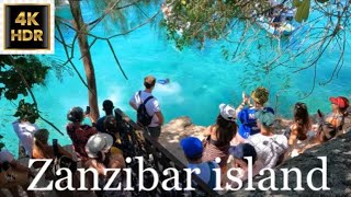 9 The jewel of Africa exploring Zanzibar islandTanzania [upl. by Ablasor534]