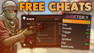 FREE CS2 CHEATS You Should Check Out In 2024 [upl. by Olifoet]