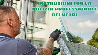 Puliamo i vetri di casa con il semplice metodo professionale li renderà brillanti e senza aloni [upl. by Avera289]