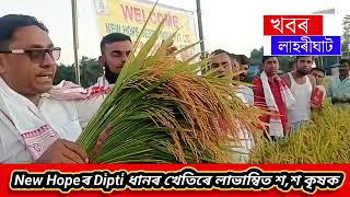 New Hope Dipti Research Paddy [upl. by Gnohp]