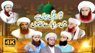 Tu kreem Kul Jahan Hai Ma Srapa e Khata hu  New Kalaam 2024  Hafiz Aftab Saifi Official  New Naat [upl. by Drarej]