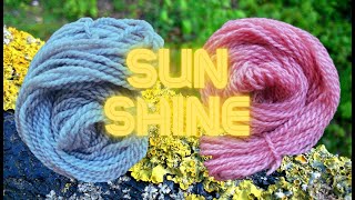 Naturally Dyeing with Xanthoria parietina I Maritime Sunburst Lichen ​⁠WildcraftDyeing [upl. by Ardnassac]