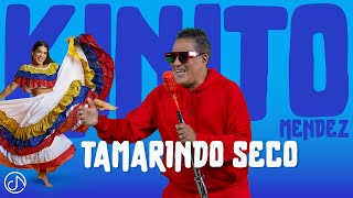 Tamarindo SECO 🪇 KINITOMENDEZOFFICIAL 🤩 Video Oficial [upl. by Inoliel]