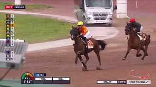 Prix Des Muscaris 2024  Impala De Val amp Benjamin Rochard 1129 2750m [upl. by Yodlem527]