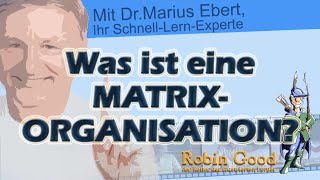 Was ist eine Matrixorganisation [upl. by Horacio434]