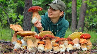 Picking and cooking Porcini mushrooms in Ukrainian forest in June Life in the village [upl. by Ambert]