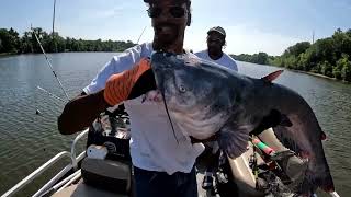 JAMES RIVER VIRGINIA OMG  HUGE  MONSTER BLUE CAT NEW PB amp BOAT RECORD [upl. by Eltsirhc454]