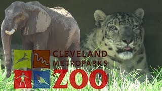 Cleveland Metroparks Zoo Tour amp Review with The Legend [upl. by Amleht2]