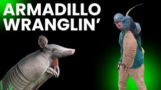 Armadillo Wranglin Armadillo Nuisance Trapping [upl. by Blisse]