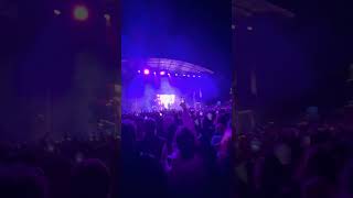 DJ Gryffin  NY Forest Hills Stadium rave shorts gryffin holdmeuptiemedown [upl. by Anaugahs]