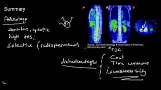 Positron Emission Tomography PET quantification using 3D Slicer [upl. by Birecree617]