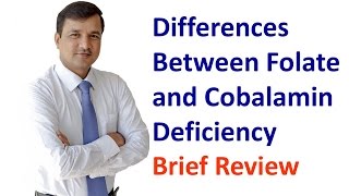 Cobalamin and Folate Deficiency  How to Differentiate Both [upl. by Venterea]