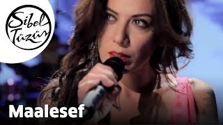 Sibel Tüzün  Maalesef Official Video [upl. by Paver638]