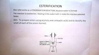 Esterification Theory for Practical Gr 12 [upl. by Nairim382]