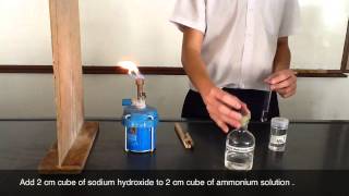 Testing of Ammonium Cations  sodium hydroxide [upl. by Shedd238]