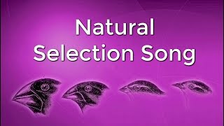 Natural Selection Song to The Lazy Song [upl. by Sophia]