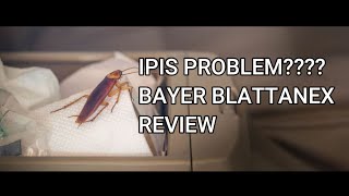 Ipis problem THIS VIDEO IS FOR YOU Bayer Blattanex REVIEW [upl. by Nedaj522]