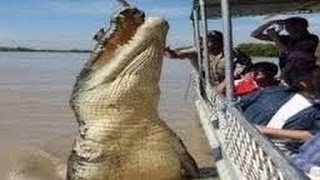 Crocodile King National Geographic Documentary 2017 [upl. by Rana]