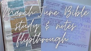 Bible Study Planner and Bible Flip  March  June 2024  2024 Bible Study [upl. by Brnaby]