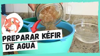 Cómo preparar KÉFIR DE AGUA Tibicos  FÁCIL y CASERO [upl. by Yekcir]