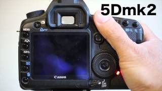 Canon 5D Mark III vs 5D Mark II Shutter Sounds [upl. by Harland]