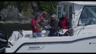 Boston Whaler 285 Conquest Pilothouse [upl. by Dyke]