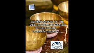 Being grateful for the past blissful at the future living in the Now nandingpanelo [upl. by Nivel]