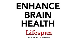 The Science of Keeping the Brain Healthy  Lifespan with Dr David Sinclair 7 [upl. by Esil]