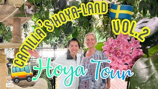 🇸🇪 MORE 2nd Hoya Tour 🌸 Hoya Blooms  🚌 Visiting Camilla’s Hoya Paradise  Hoya Greenhouse [upl. by Cychosz401]