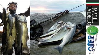 PESCA SUB TOP MOMENT HD [upl. by Finbur]