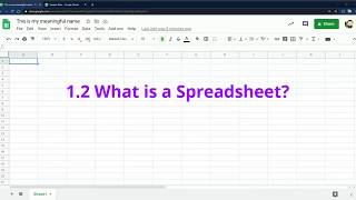 12 What is a Spreadsheet [upl. by Prussian442]