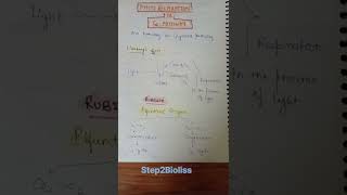 C3 cycle C4 cycle CAM in Photosynthesis l C3 C4 cycle easy tricksneet biology [upl. by Gabi]