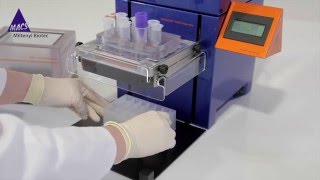 How to Isolate Pure Microglia  Video Protocol [upl. by Ephrayim]