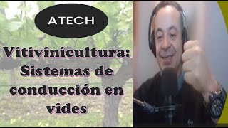 Vitivinicultura Sistemas de conducción de vides Vitis vinífera ATECH [upl. by Troyes133]