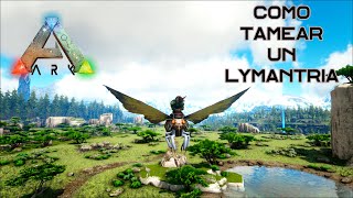 Como tamear una Lymantria de manera fácil y rápida En Ark Survival Evolved [upl. by Sauveur689]